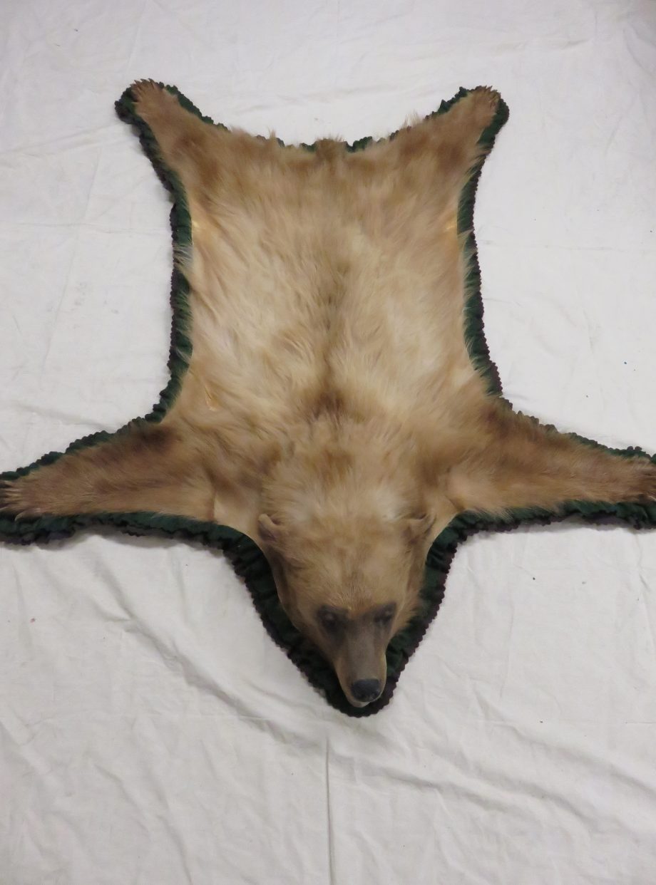 bear rugs taxidermy