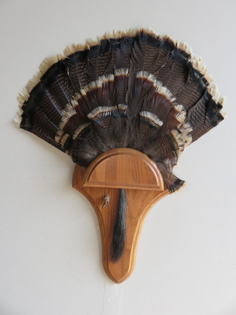 Turkey Feather Fan/Plaque Mount T-109T – Mounts For Sale